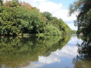 Prodej rodinného domu, Černčice, Žižkova, 65 m2