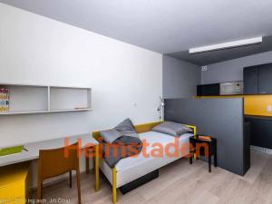 Pronájem bytu 1+kk, Plzeň - Jižní Předměstí, Magisterská, 27 m2