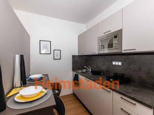 Pronájem bytu 1+kk, Plzeň - Jižní Předměstí, Magisterská, 28 m2