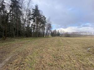 Prodej pozemku, Kaplice - Pořešín, 11526 m2