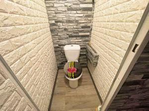 Pronájem bytu 1+kk, České Budějovice - České Budějovice 2, K. Chocholy, 30 m2