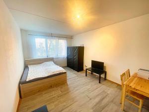 Pronájem bytu 1+kk, České Budějovice - České Budějovice 2, K. Chocholy, 30 m2