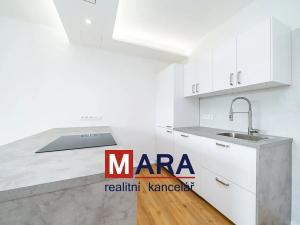 Pronájem bytu 1+kk, Olomouc, Aloise Rašína, 31 m2