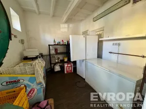 Pronájem restaurace, Plzeň - Doudlevce, Srázná, 90 m2