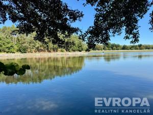 Prodej zahrady, Plzeň, 150 m2