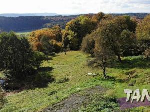 Prodej pozemku pro bydlení, Koberovy, 9985 m2