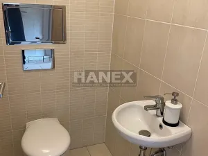 Pronájem bytu 3+kk, Praha - Hloubětín, Nademlejnská, 140 m2