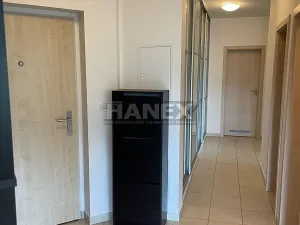 Pronájem bytu 3+kk, Praha - Hloubětín, Nademlejnská, 140 m2