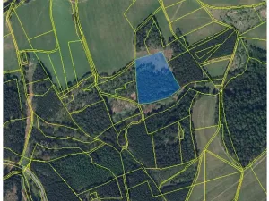 Prodej podílu lesa, Nový Hrádek, 10796 m2