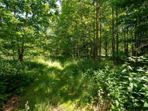 Prodej pozemku pro bydlení, Choustník, 114846 m2