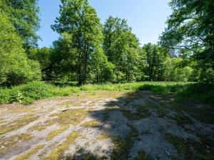 Prodej pozemku pro bydlení, Choustník, 114846 m2