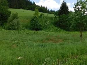 Dražba louky, Velké Karlovice, 14772 m2