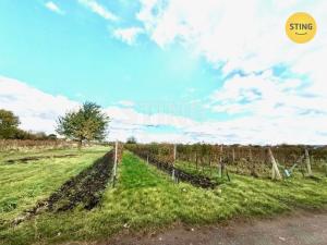 Prodej sadu/vinice, Prušánky, 700 m2