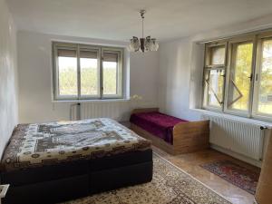 Prodej rodinného domu, Pavlíkov - Ryšín, 436 m2