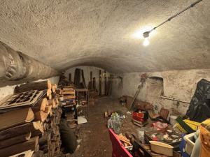 Prodej rodinného domu, Pavlíkov - Ryšín, 436 m2