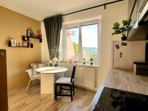 Prodej bytu 1+1, Starý Plzenec, Herejkova, 38 m2