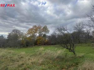 Prodej zahrady, Zlín - Kudlov, 8864 m2