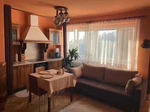 Pronájem bytu 1+kk, Prostějov, Vrahovická, 60 m2