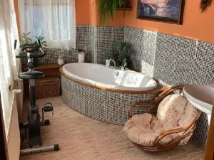 Pronájem bytu 1+kk, Prostějov, Vrahovická, 60 m2