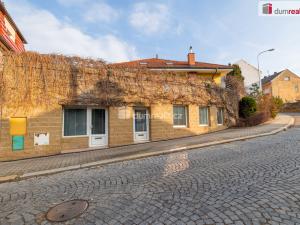 Prodej obchodního prostoru, Mladá Boleslav - Mladá Boleslav III, Viničná, 107 m2