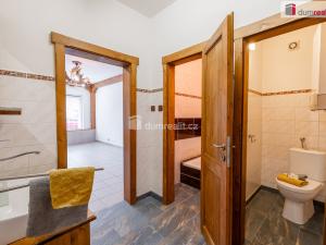 Prodej obchodního prostoru, Mladá Boleslav - Mladá Boleslav III, Viničná, 107 m2