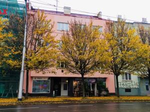 Pronájem bytu 2+kk, Olomouc - Nová Ulice, Wolkerova, 45 m2