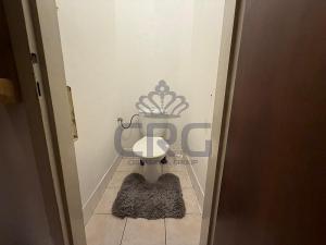 Pronájem bytu 1+1, Brno - Staré Brno, Nové sady, 48 m2