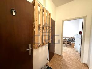 Pronájem bytu 1+1, Brno - Staré Brno, Nové sady, 48 m2