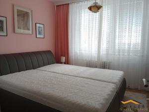 Pronájem bytu 3+1, Brno - Královo Pole, Galandauerova, 77 m2