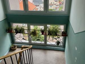 Prodej bytu 3+1, Kozolupy, 88 m2