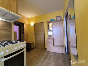 Pronájem bytu 2+1, Sokolov, Závodu míru, 55 m2