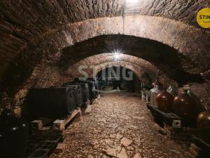 Prodej historického objektu, Mikulov, Na Jámě, 361 m2