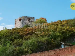 Prodej historického objektu, Mikulov, Na Jámě, 361 m2