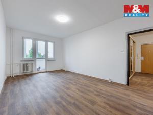 Pronájem bytu 2+1, Nová Role, Svobodova, 50 m2