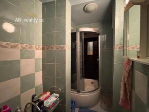 Prodej rodinného domu, Krupka, Alešova, 226 m2