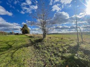 Prodej chalupy, Vinaře, 88 m2