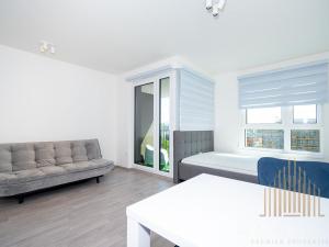 Pronájem bytu 1+kk, Praha - Žižkov, Olgy Havlové, 38 m2