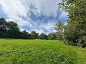 Prodej rodinného domu, Bujanov, 480 m2