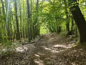 Prodej chaty, Mirošovice, Pod Jiřím, 60 m2