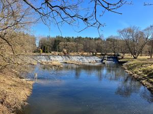 Prodej zemědělské usedlosti, Stráž nad Nežárkou, Šimanov, 2139 m2