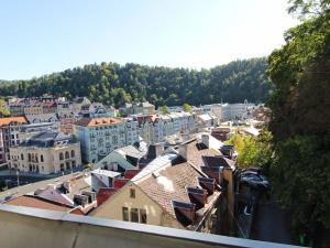 Pronájem bytu 2+1, Karlovy Vary, Pod Jelením skokem, 59 m2