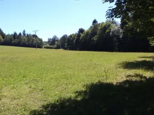 Dražba pole, Strašín, 33898 m2