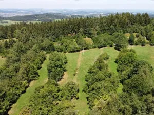 Dražba pole, Strašín, 33898 m2