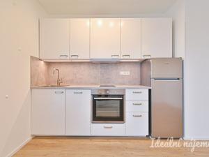 Pronájem bytu 1+kk, Brno, Auerswaldova, 29 m2