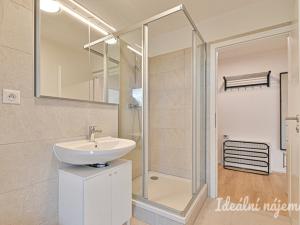 Pronájem bytu 1+kk, Brno, Auerswaldova, 29 m2