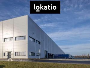 Pronájem výrobních prostor, Ostrava - Hrušov, 5181 m2