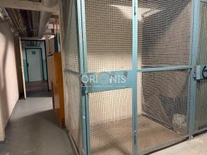 Pronájem bytu 1+1, Kadaň, Koželužská, 36 m2