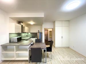 Pronájem bytu 1+kk, Brno, U Leskavy, 34 m2