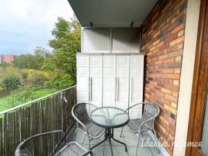 Pronájem bytu 1+kk, Brno, U Leskavy, 34 m2