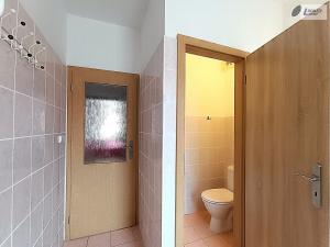 Pronájem bytu 1+1, Příbram - Příbram II, Střelecká, 43 m2